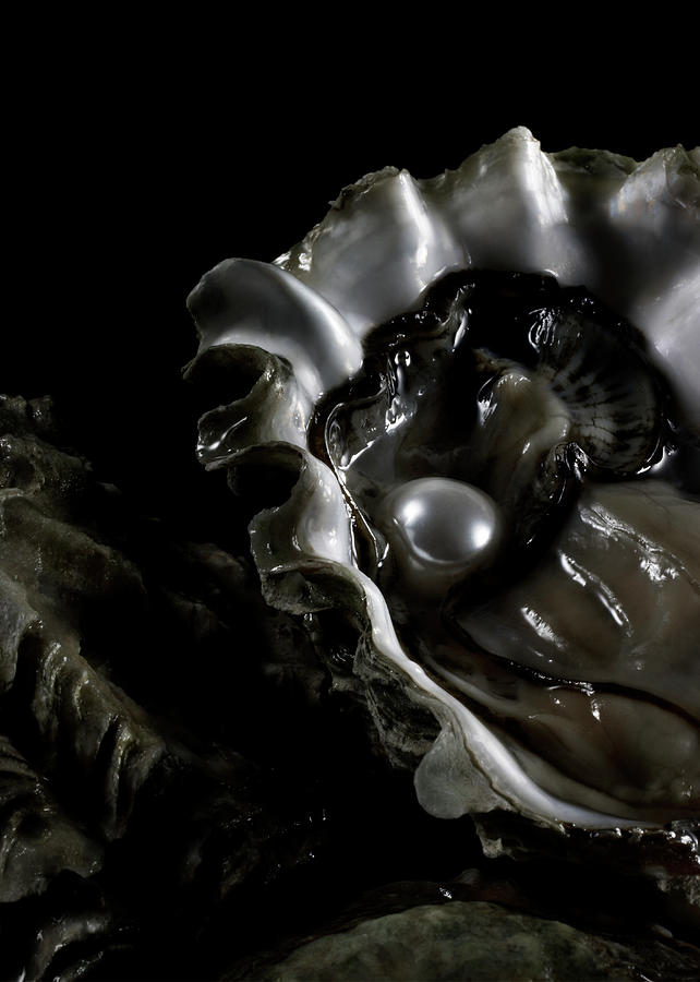 Oyster With Pearl On Water, Close-up Photograph by Jaime Chard