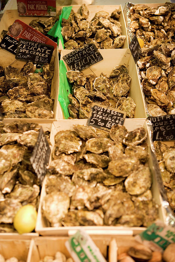 Fish Photograph - Oysters In Boxes With Price Tags At Market In France by Jalag / Jan C. Brettschneider