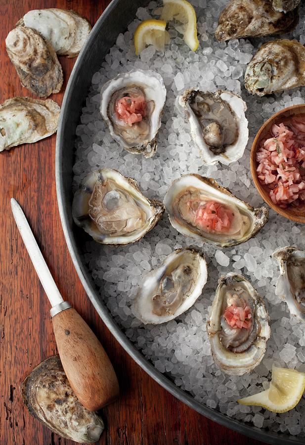 Fish Photograph - Oysters In Shells On A Bed Of Salt With Lemon Wedges And A Mignonette Sauce by Katharine Pollak