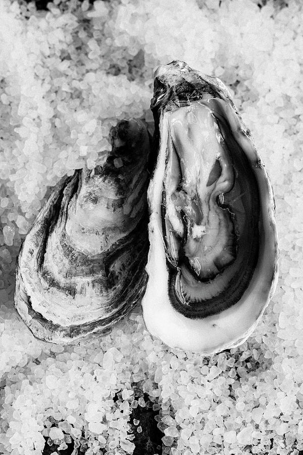 Oysters On Salt, Sweden. Photograph by Katrin Winner