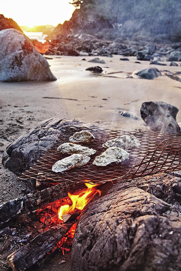 Oysters Over A Beach Fire In Tofino, British Columbia, Canada Photograph by Jalag / Brita Snnichsen