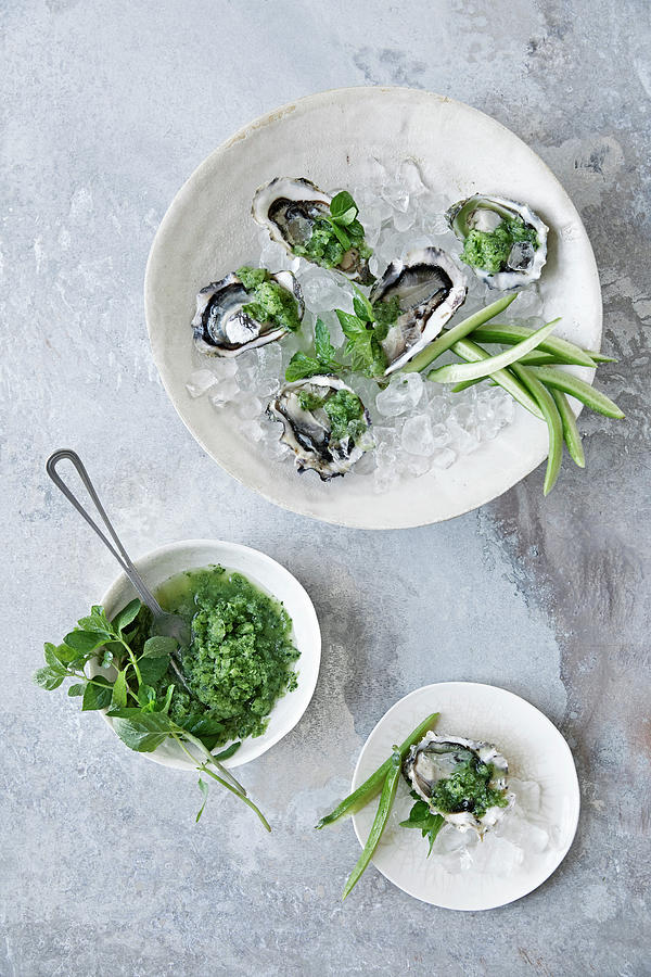 Oysters With Cucumber Granita And Mint Photograph by Aina C. Hole