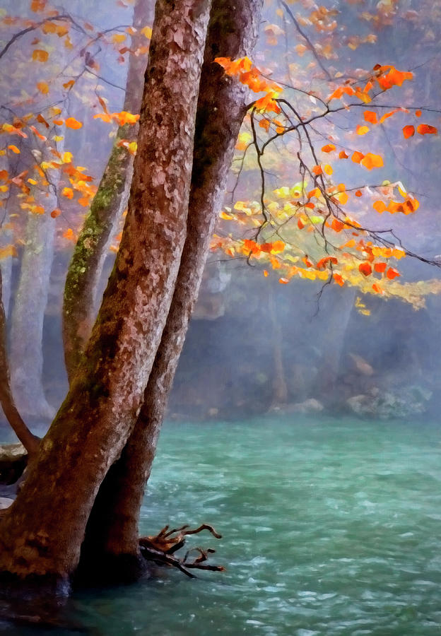 Arkansas Ozark Autumn Photograph by Harriet Feagin