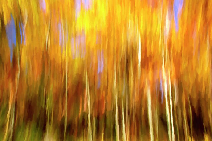 Ozark Forest Abstract  Photograph by Harriet Feagin