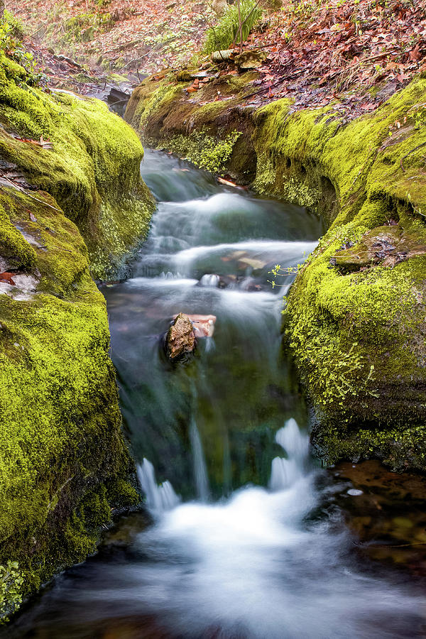 Ozark Mountain Stream Waterfall - Northwest Arkansas Photograph