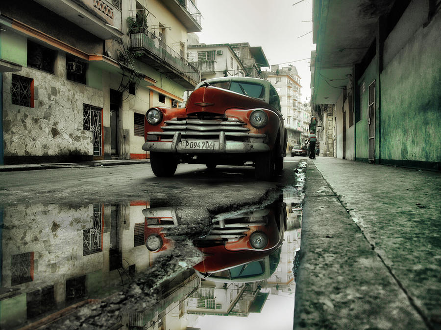 American Photograph - P 094706 by Svetlin Yosifov American Photograph - P 094706 by Svetlin Yosifov