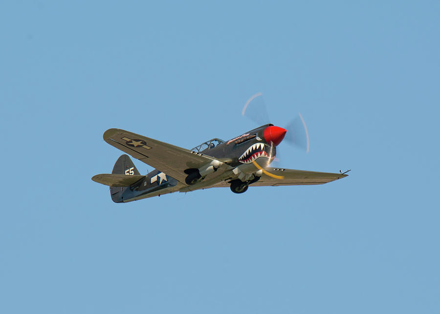 P--40 Warhawk Photograph by John Black