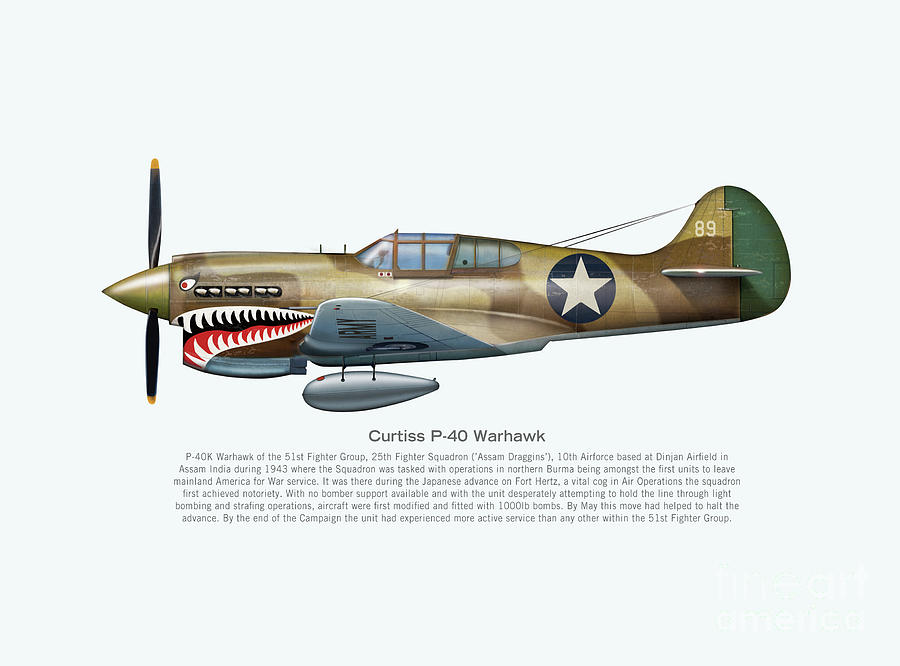 P-40 Digital Art - P-40 Warhawk by Stuart Willard