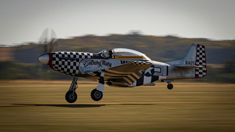 P-51 Mustang Contrary Mary Photograph by Airpower Art
