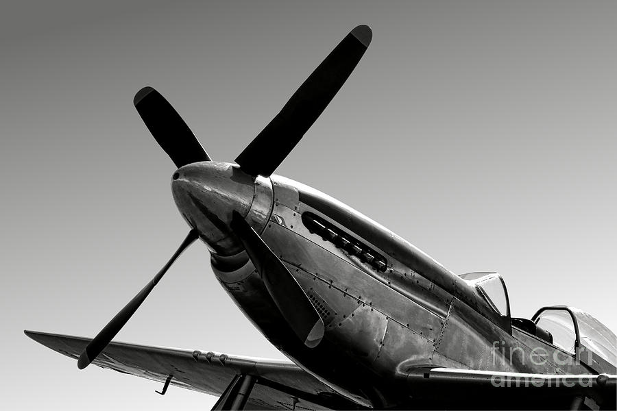 P-51 Mustang Photograph by Olivier Le Queinec