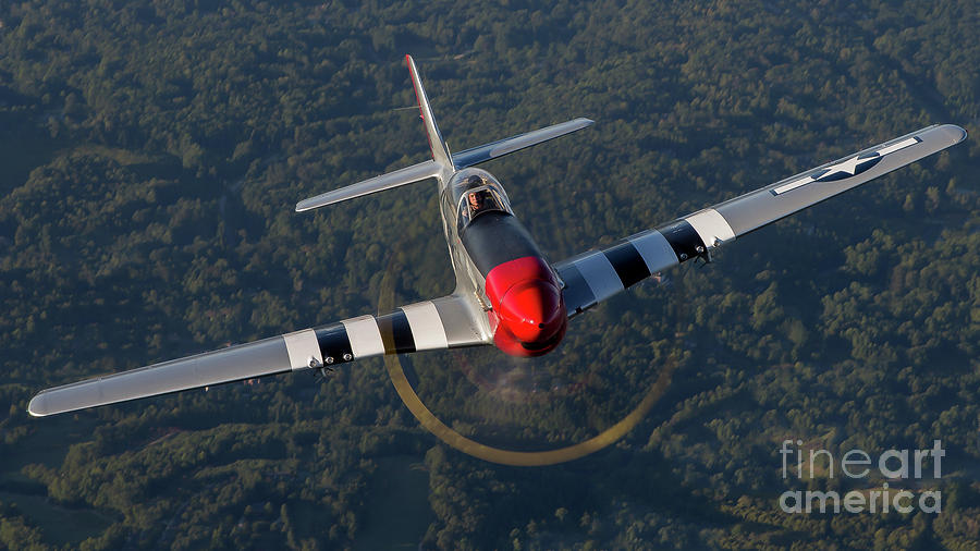 P 51 Red Nose Photograph by Gary Stray - Pixels