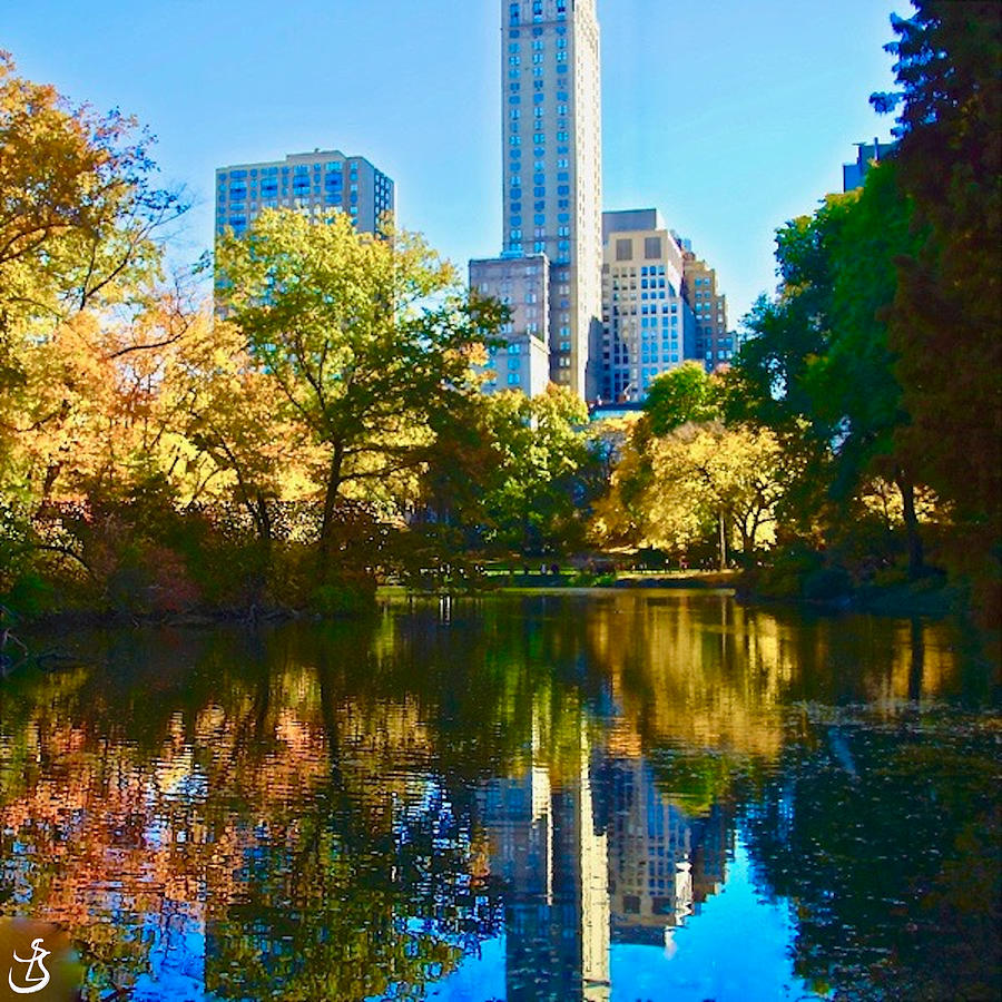 P380, Central Park 's Fall colors by Sarah-l Singer P380, Central Park 's Fall colors by Sarah-l Singer