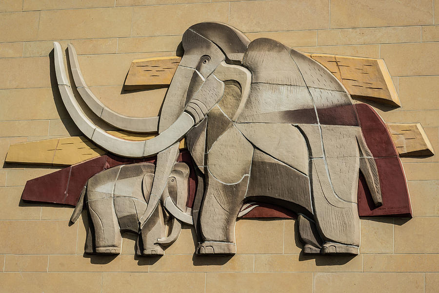 Pachyderms Photograph by Stewart Helberg