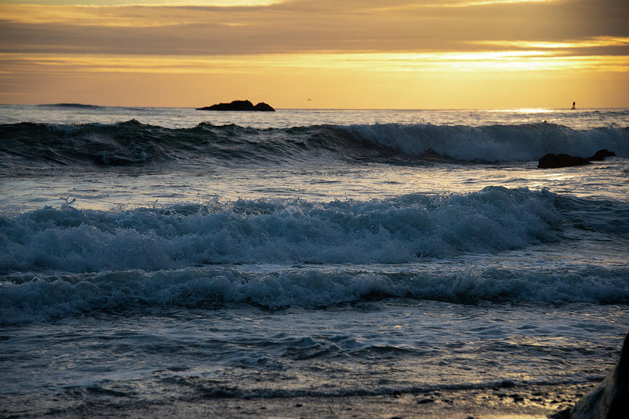 Pacific Coast 6 Photograph by Lynda Fowler