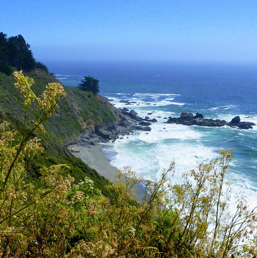 Pacific Coast Beauty Photograph