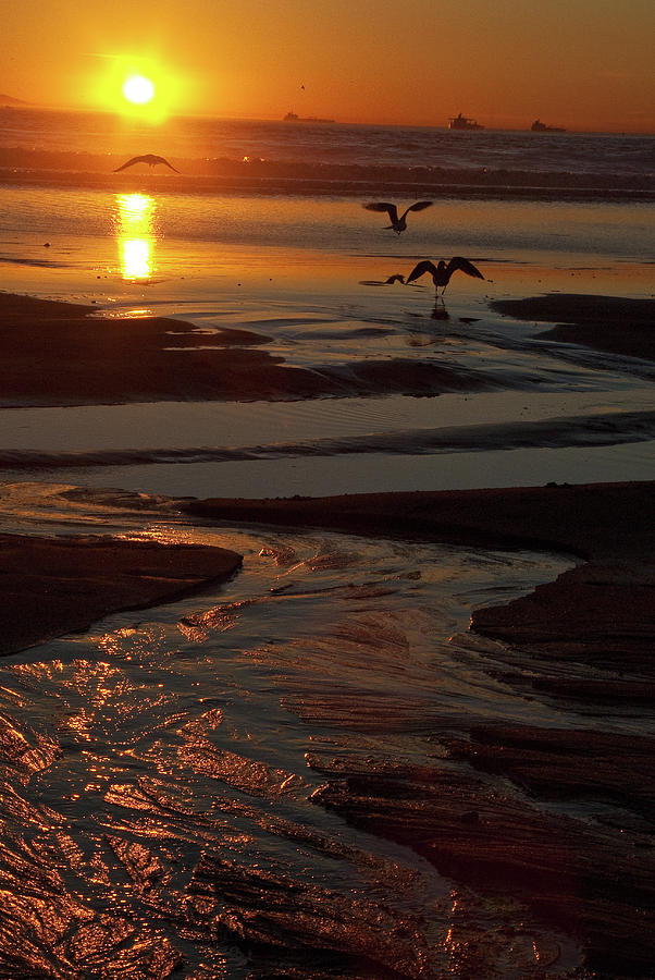 Pacific Coast Sunset 1 Photograph by Lynda Fowler