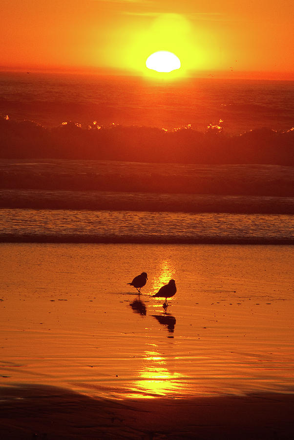 Pacific Coast Sunset 2 Photograph by Lynda Fowler