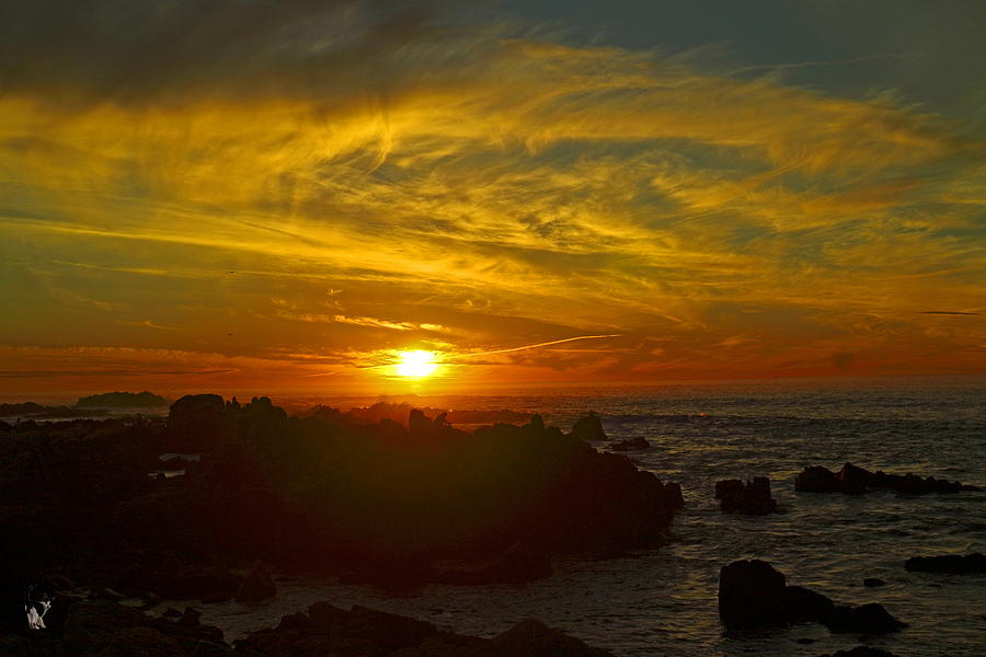 Pacific Grove Sunset 01 27 19 Photograph by Joyce Dickens | Fine Art ...