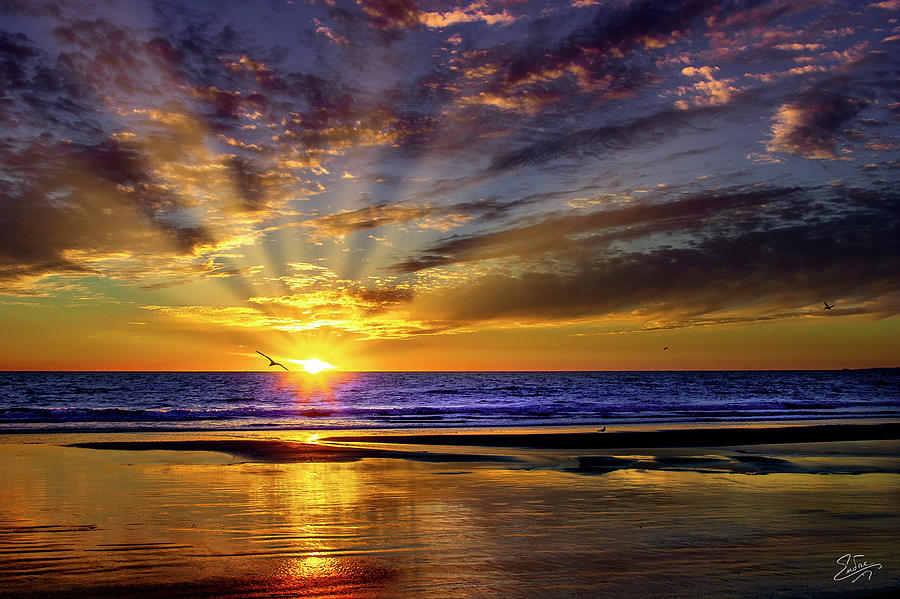 Pacific Ocean Sunset Photograph by Endre Balogh