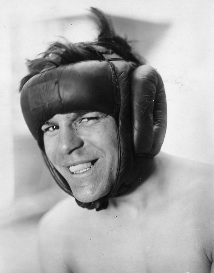 Padded Protection Photograph by William Davis Padded Protection Photograph by William Davis