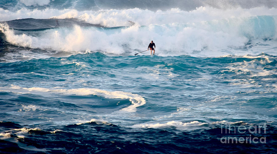 Paddle Surfer Photograph by Debra Banks