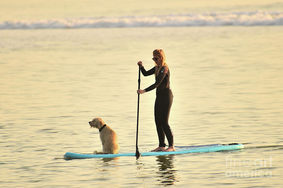 Easter Photograph - Paddleboarding with her dog by Keith Morris