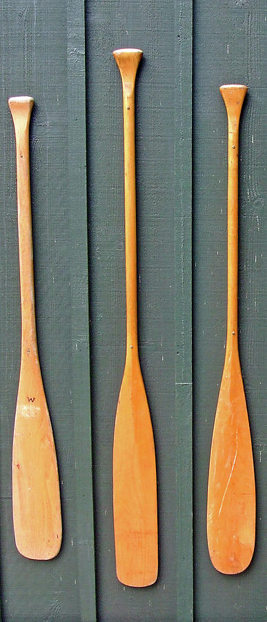 Paddles Down Photograph by Image Brought To You Through The Eye Of Andrew Parker