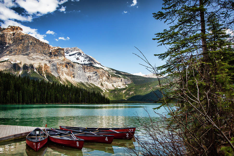 Paddles for Emerald Lake Photograph by Monte Arnold