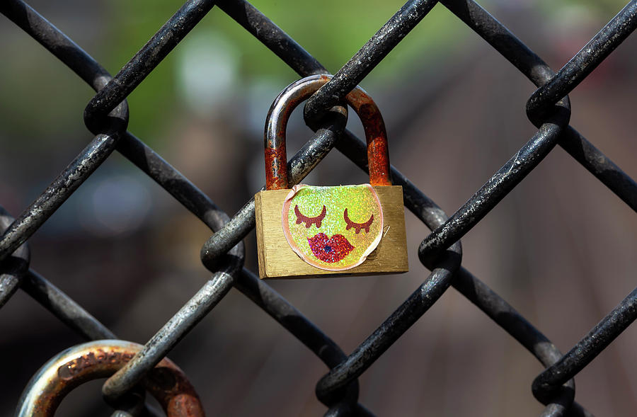 Padlock and Chain Link Fence Photograph by Robert Ullmann