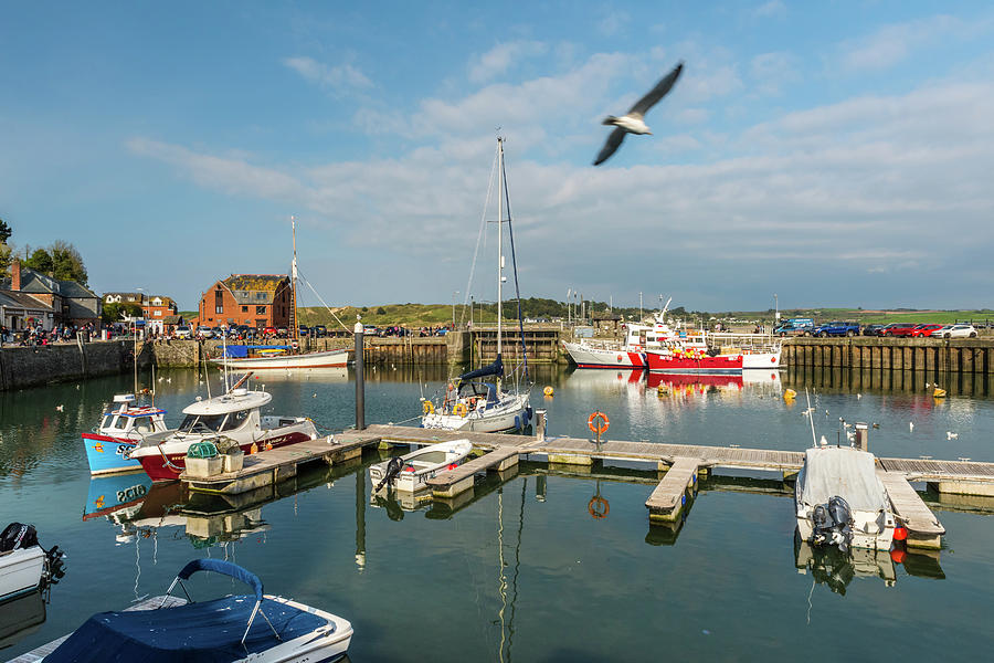 Padstow harbour, Cornwall Photograph by David Ross