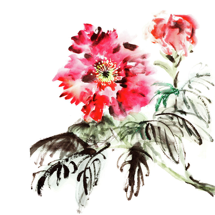 Paeonia Flowers Digital Art by Vii-photo Paeonia Flowers Digital Art by Vii-photo