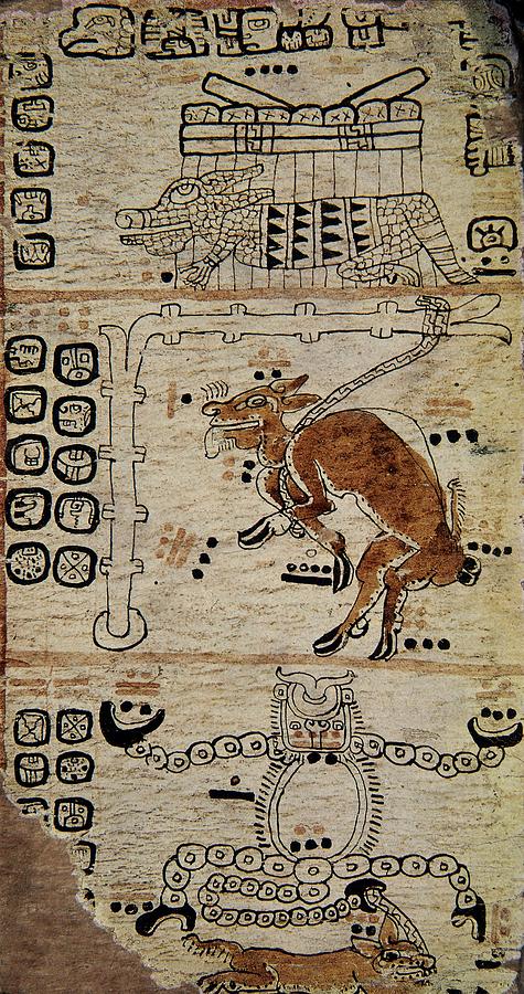 Page of the Tro-Cortesianus Codex. Facsimile. Page of the Tro-Cortesianus Codex. Mayan Culture. Drawing by Album