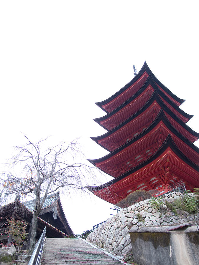 Pagoda And Shrine Above Stairs In Photograph by Michael Duva