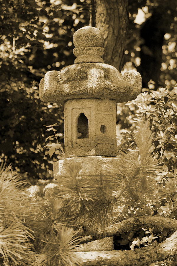 Pagoda Behind Evergreen in Sepia Photograph by Colleen Cornelius