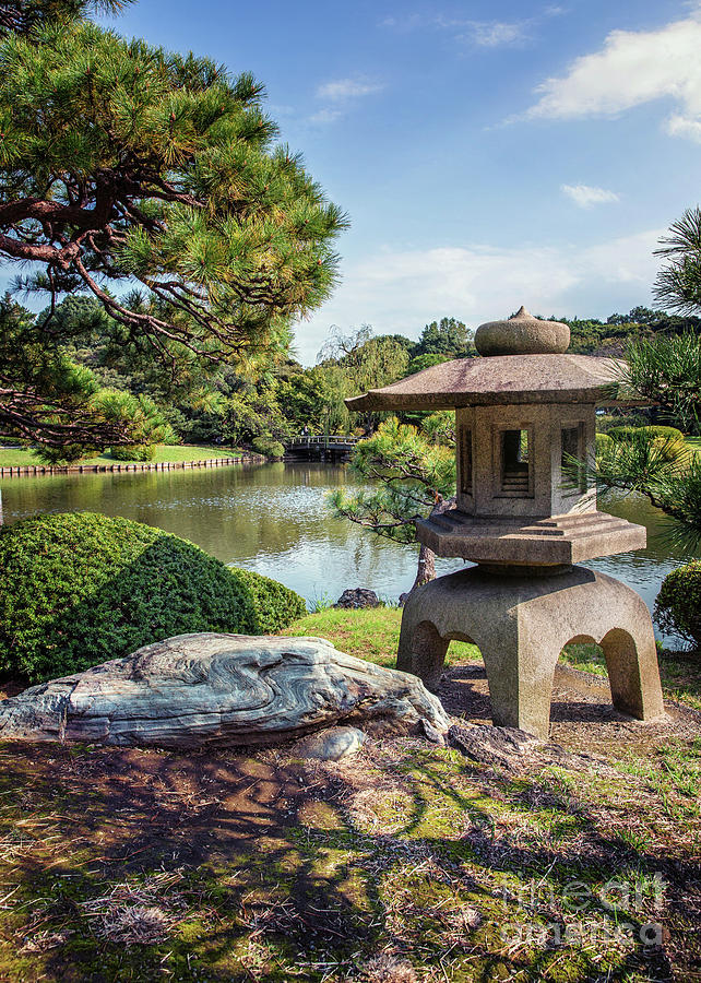 Pagoda in Kamino-Ike Shinjuku Gyoen Tokyo Photograph by Karen Jorstad ...