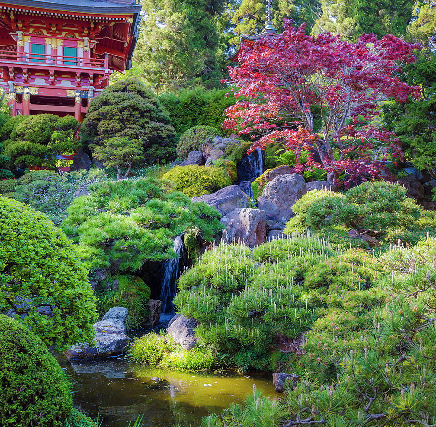 Pagoda, Japanese Tea Garden, Golden Photograph by Anna Miller - Fine ...