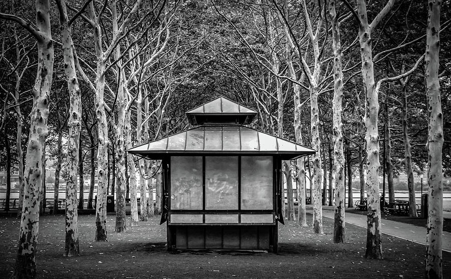 pagoda by Steve Stanger pagoda by Steve Stanger