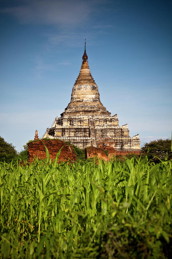 Pagode In Bagan, Myanmar Photograph by Daniel Osterkamp