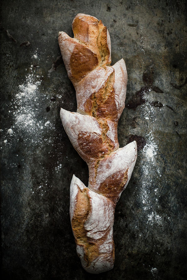 Pain Depi french Baguette Shaped Like An Ear Of Wheat Photograph by Katrin Winner