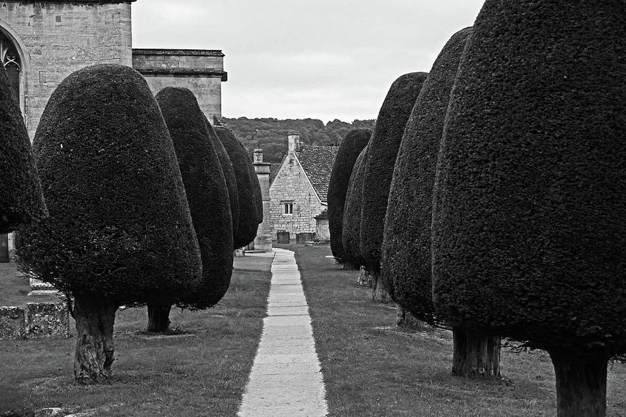 Painswick UK Cotswolds Row of Yew Trees Black and White Photograph by Toby McGuire