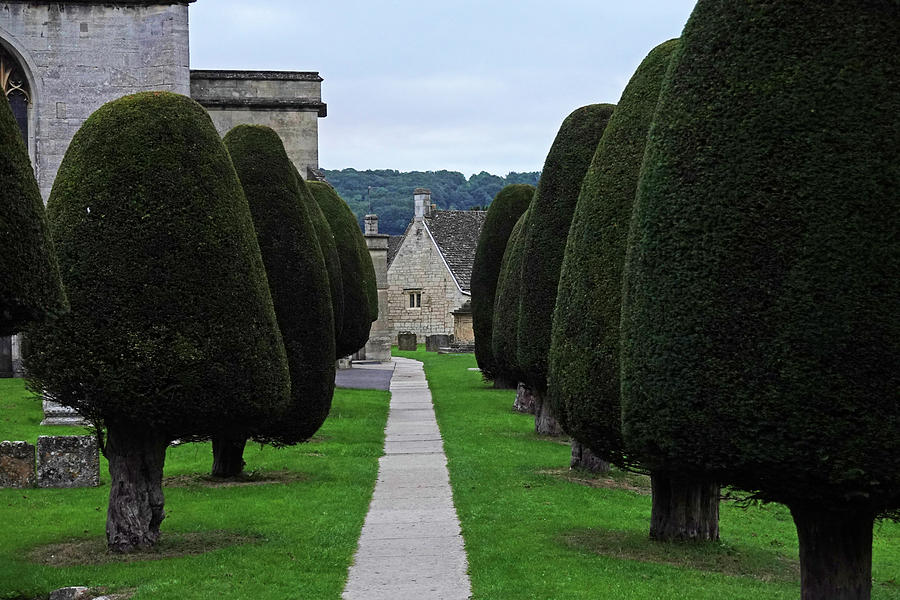 Painswick UK Cotswolds Row of Yew Trees Photograph by Toby McGuire