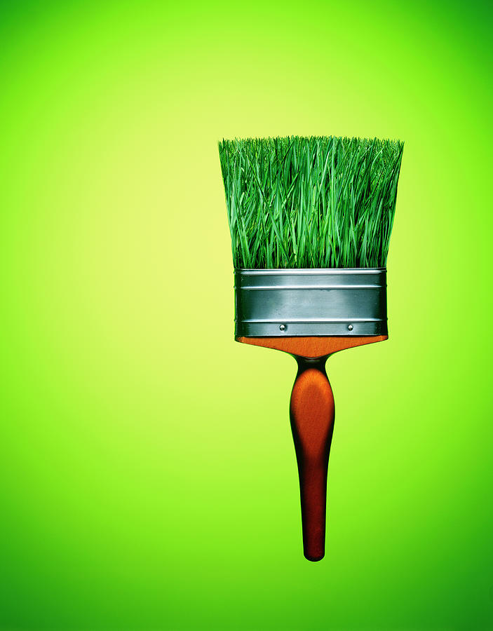 Paint Brush With Grass Bristles Photograph by Adrian Burke