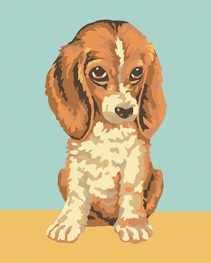 Vintage Drawing - Paint By Number Dog by CSA Images