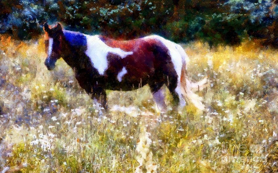 Paint horse in Summer pastures Photograph by Janine Riley