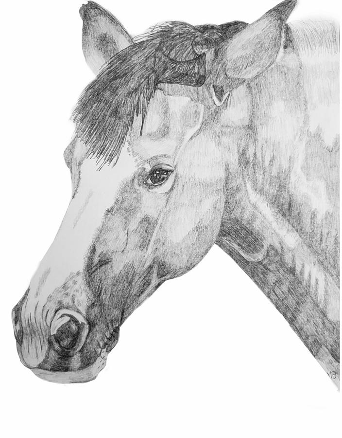 Paint horse portrait Drawing by Equus Artisan