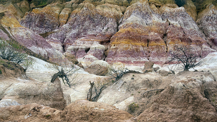 Paint Mines Photograph by Robert Fawcett