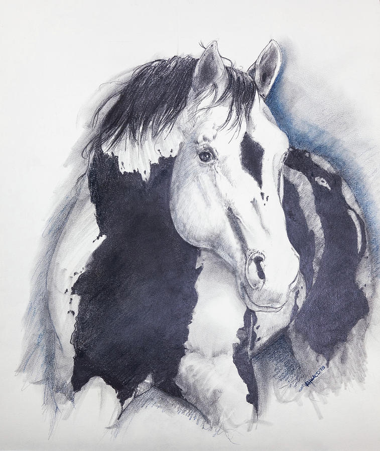 Horse Drawing - Paint by Robert H Ward