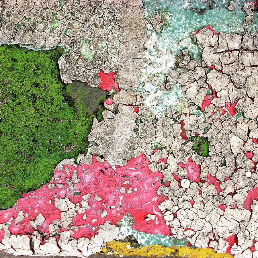 Paint Which Was Recoated, And Cracked Photograph by Photographer, Loves Art, Lives In Kyoto