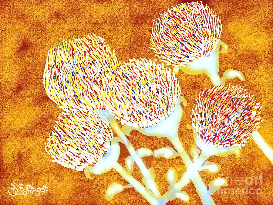 Paintbrush Lily Digital Art by Caroline Street