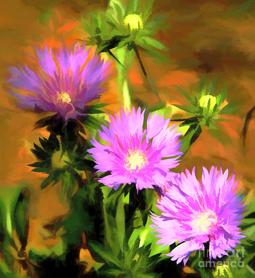 Painted Asters by Irene Dowdy Painted Asters by Irene Dowdy
